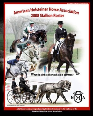 American Holsteiner Horse Association Stallion Roster, 2008