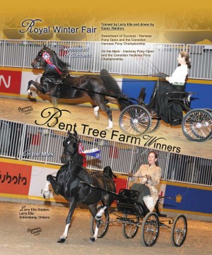 Bent Tree Farm magazine advert