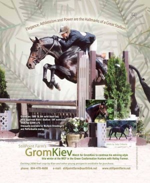 GromKiev stallion