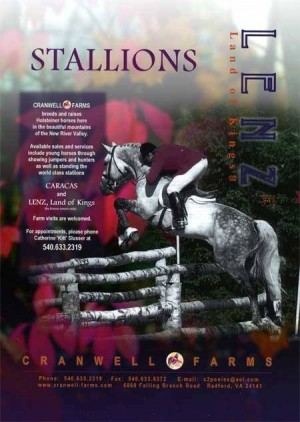 Lenz Land of Kings Holsteiner stallion