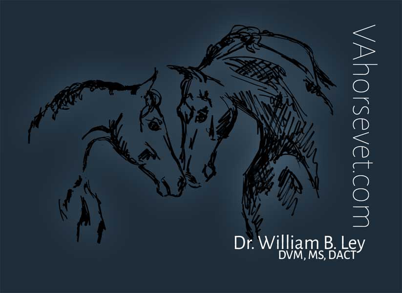 Dr. William B. Ley VAhorsevet.com logo