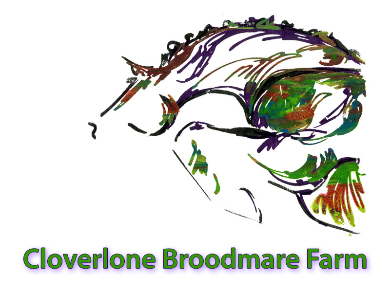 Cloverlone Broodmare Farm Logo copyright Gail Guirreri