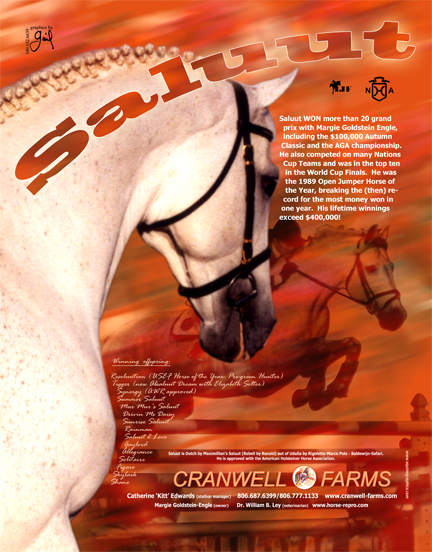 R-Saluut II Holsteiner stallion magazine advertising