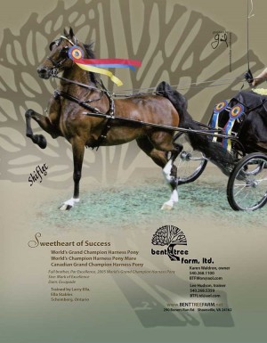 Bent Tree Farm magazine advert