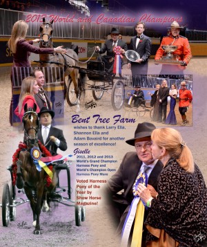 Bent Tree Farm magazine advert