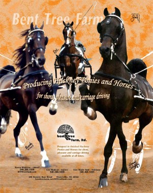 Bent Tree Farm magazine advert