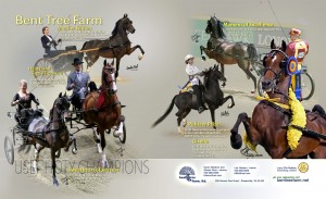 Bent Tree Farm USEF magazine advert